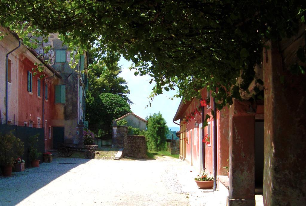 Agriturismo Casa De Bertoldi Villa Belluno Exterior photo